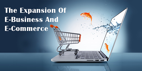 The Expansion of eBusiness and eCommerce