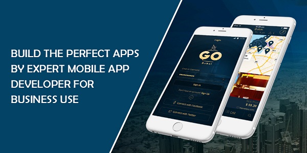 Build-the-Perfect-Apps-by-Expert-Mobile-App-Developer-for-Busine